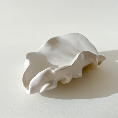 Oyster Shell Plate - Medium